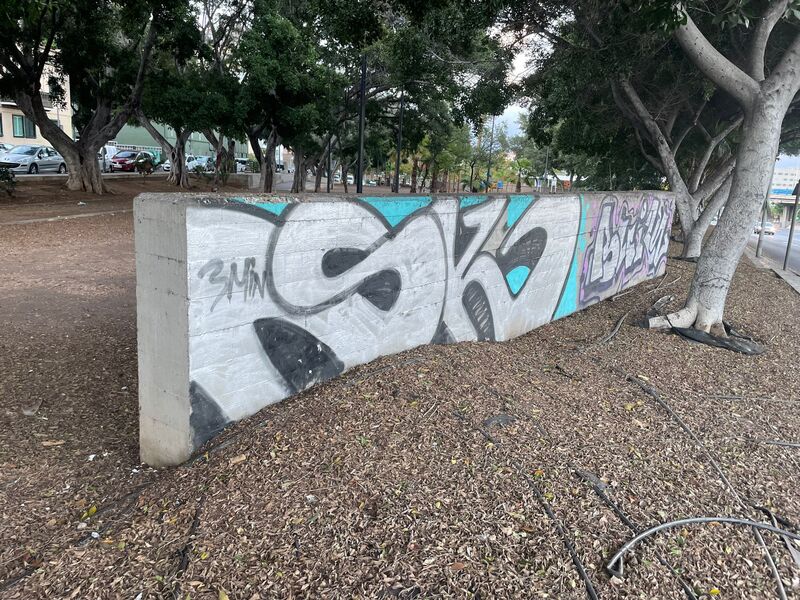 Santa Cruz impone sanciones por realización de grafitis en lugares no autorizados