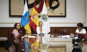 La alcaldesa de Santa Cruz de Tenerife participa en una reunión con el Ministro de Inclusión sobre el Ingreso Mínimo Vital