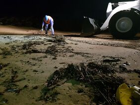 Detalle del dispositivo especial de limpieza desplegado este miércoles en la playa de Las Teresitas para retirar los efectos dejados por la borrasca de la arena.