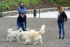 El alcalde y la concejala, durante su visita al nuevo parque canino
