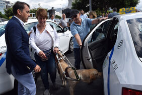 Imagen del acto en defensa del derecho al transporte público de los usuarios de perros guía