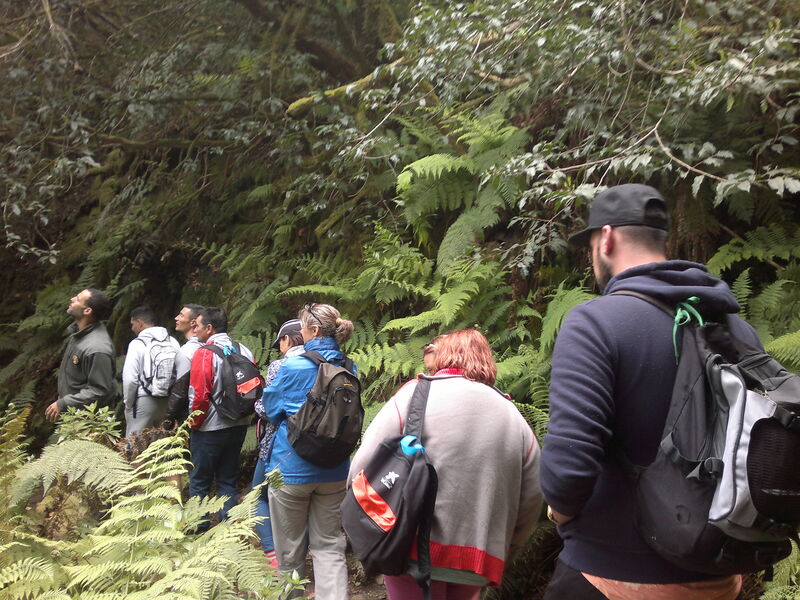 Detalle de una salida anterior del programa 'Anaga, una caminata por las nubes', que realizan los agentes forestales de la Unidad del Medio Natural (UMEN).