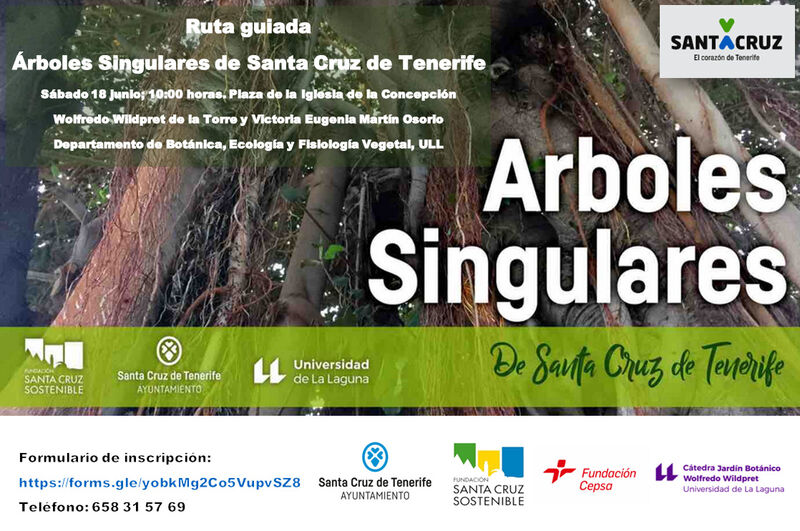 Santa Cruz Sostenible organiza una ruta por los árboles singulares de la capital