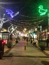 El Ayuntamiento de Santa Cruz abrirá la puerta a la Navidad con el encendido de cuatro millones de bombillas LED 