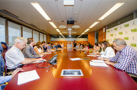 Detalle de la reunión de la Mesa de Accesibilidad del Ayuntamiento de Santa Cruz de Tenerife.