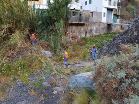 Detalle del dispositivo desplegado en la zona de La Sevillana, en el barranco de María Jiménez, para acondicionar el cauce y suprimir vegetación espontánea en el área más próxima a las casas.