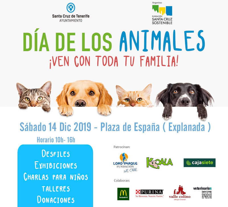 El Ayuntamiento de Santa Cruz de Tenerife celebra este sábado por la mañana el Día de los Animales