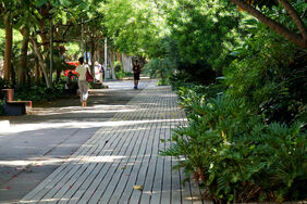 Detalle del paseo de madera del parque García Sanabria a su paso por la rambla de Santa Cruz.