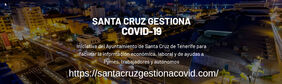 página web www.santacruzgestionacovid.com