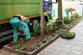 Dos operarios proceden a plantar flores de temporada en uno de los jardines existentes en la calle Méndez Núñez de la capital.