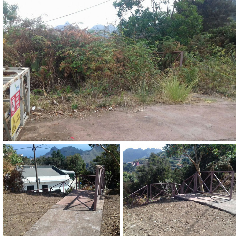 Detalle del estado de uno de los parajes de Anaga antes y después de la intervención de las cuadrillas municipales de Medio Ambiente.